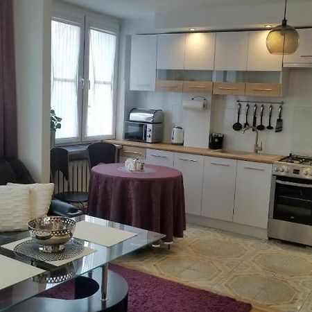 Apartament Zamosc Fiolet ภายนอก รูปภาพ