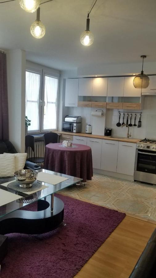 Apartament Zamosc Fiolet ภายนอก รูปภาพ